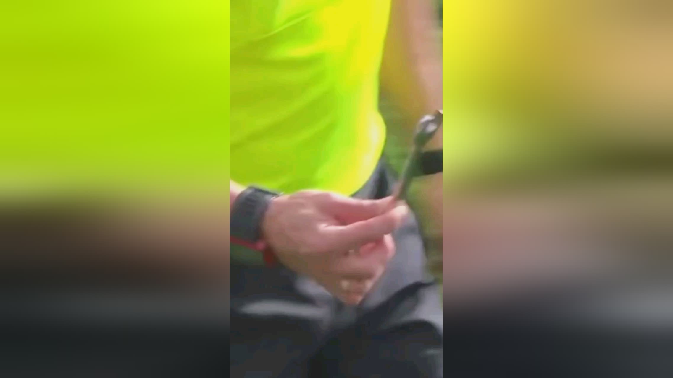 提到